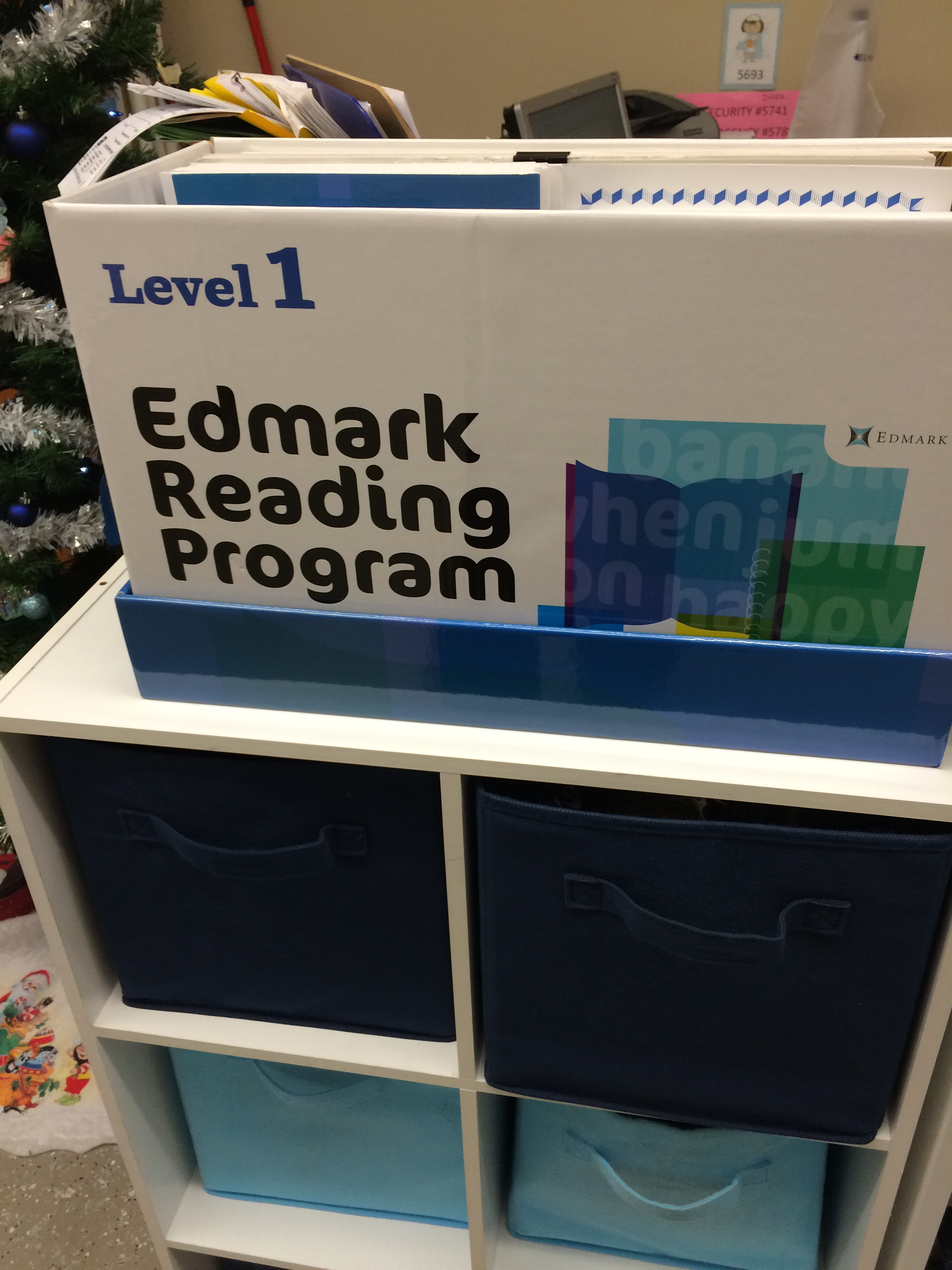 edmark reading program